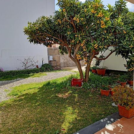 A Nespulara Bed & Breakfast Galati Marina Екстериор снимка
